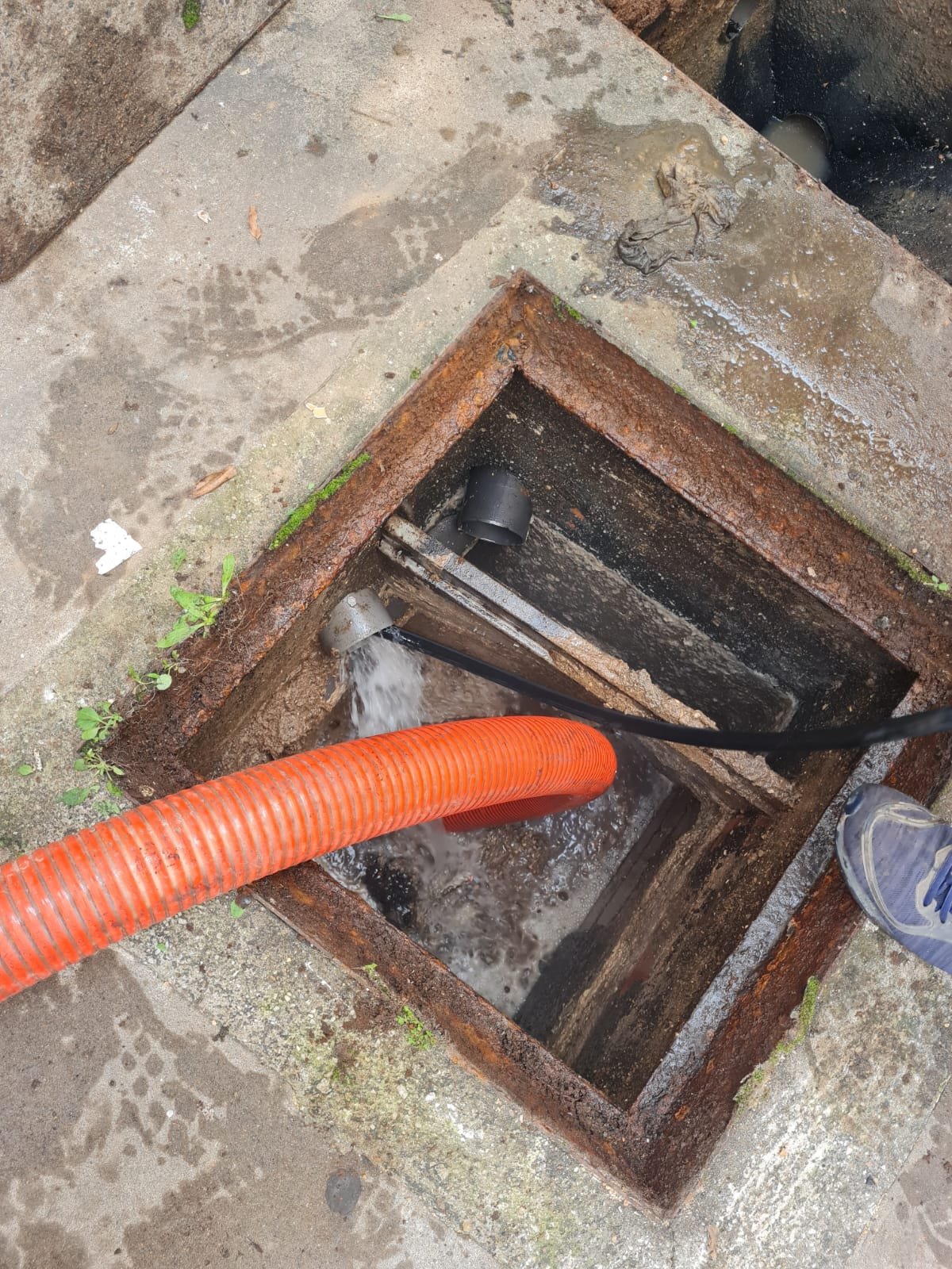 Encanador-e-dedetizacao-e-limpa-fosse-40.jpeg